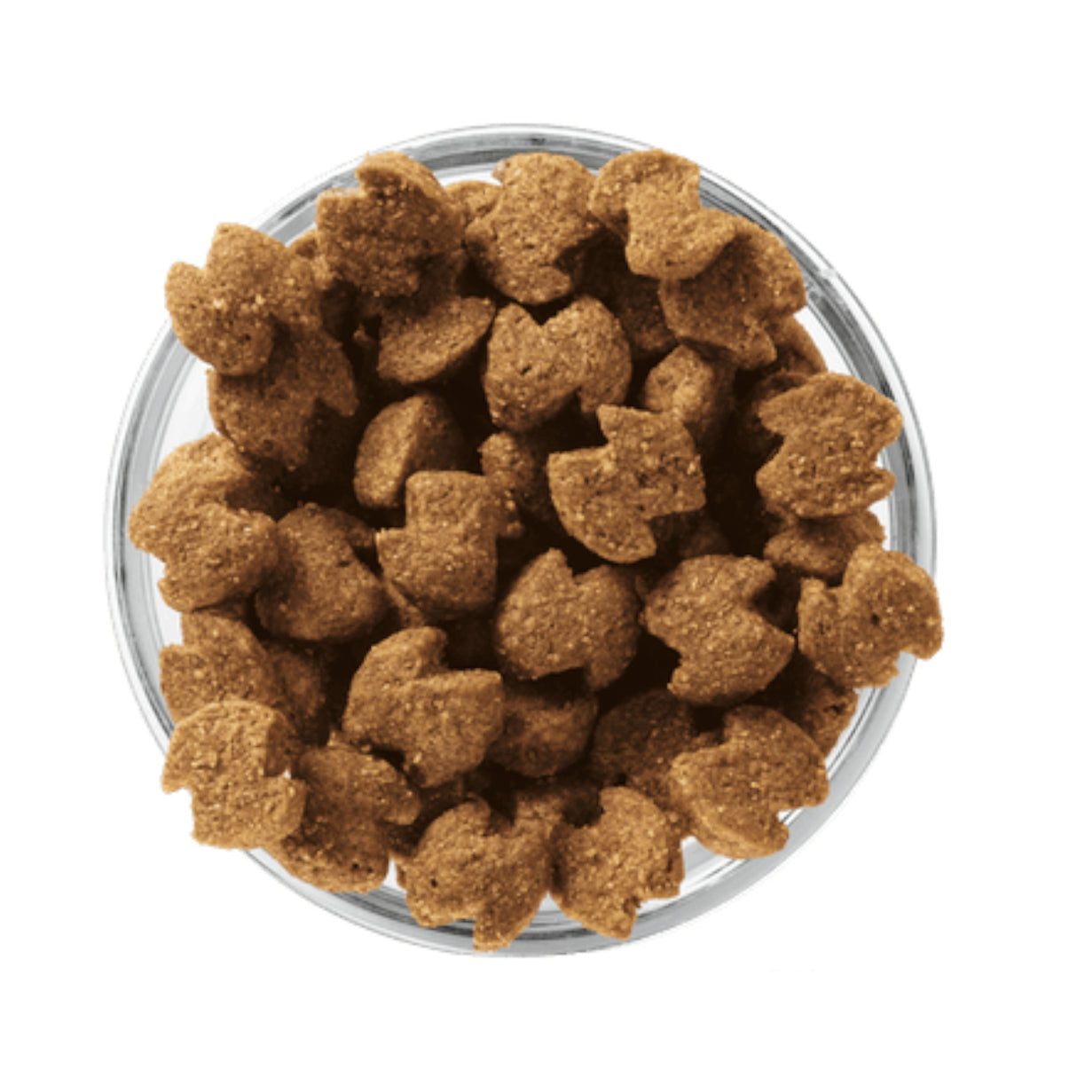 Eukanuba Adult Small Breed