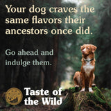 Taste of the Wild Pine Forest con Venado y Legumbres