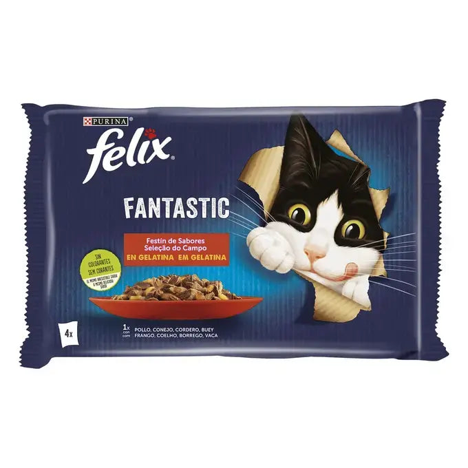 Felix Fantastic Festín de Sabores en Gelatina