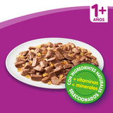 Whiskas Selección de Aves en Gelatina