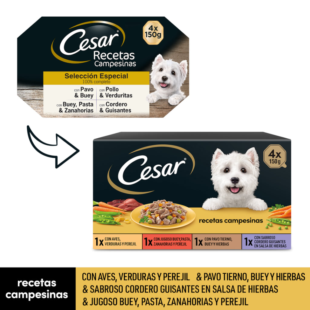Cesar Multipack Recetas Campesinas Selección 4 en Salsa