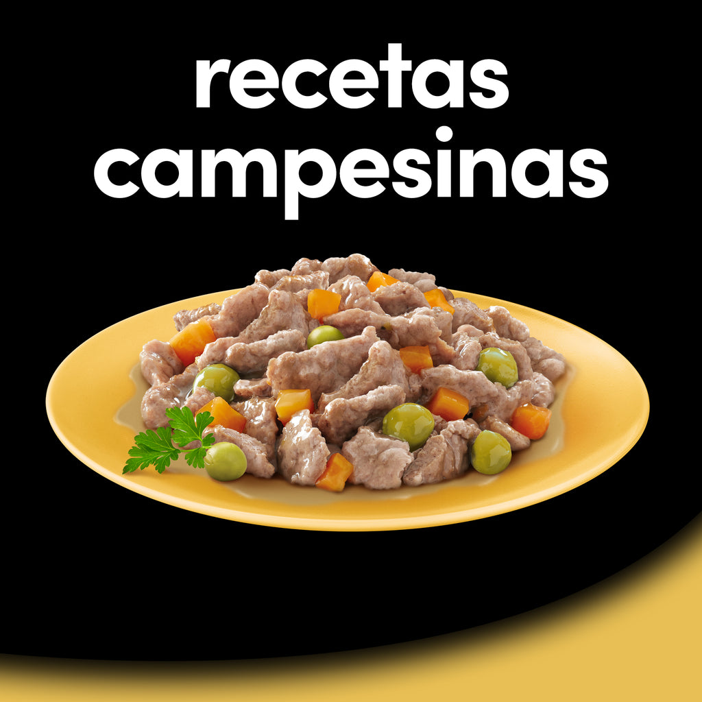 Cesar Multipack Recetas Campesinas Selección 4 en Salsa