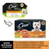 Cesar Multipack Recetas de la Huerta
