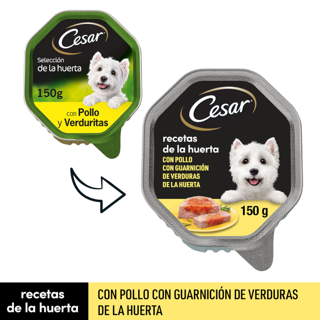 Cesar Recetas de la Huerta Pollo en Paté y Verduritas en Gelatina