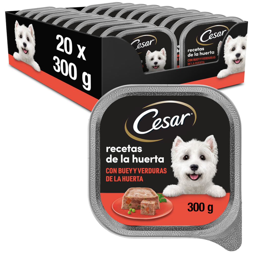 Cesar Recetas de la Huerta Buey y Verduras
