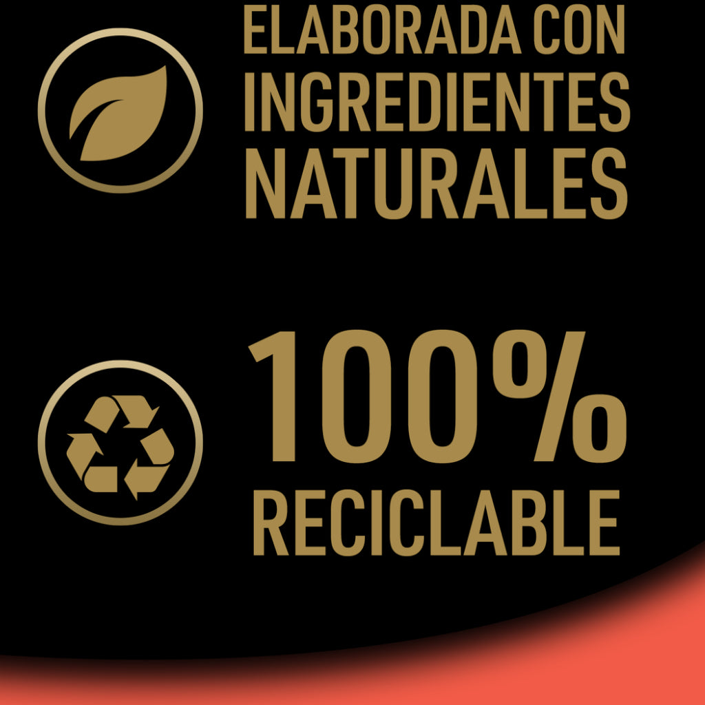 Cesar Recetas de la Huerta Buey y Verduras