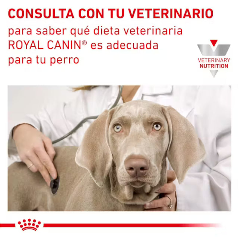 Royal Canin Perro Veterinary Diet Urinary UC (Low Purine)