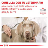 Royal Canin Perro Veterinary Diet Urinary UC (Low Purine)