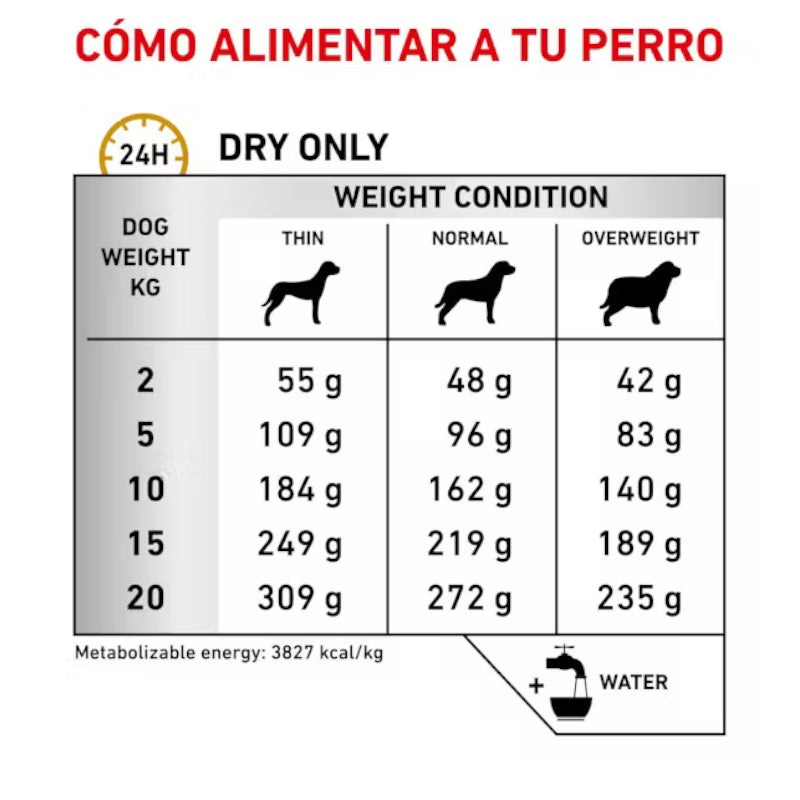 Royal Canin Perro Veterinary Diet Urinary UC (Low Purine)