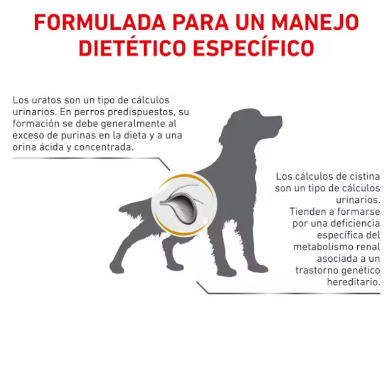 Royal Canin Perro Veterinary Diet Urinary UC (Low Purine)