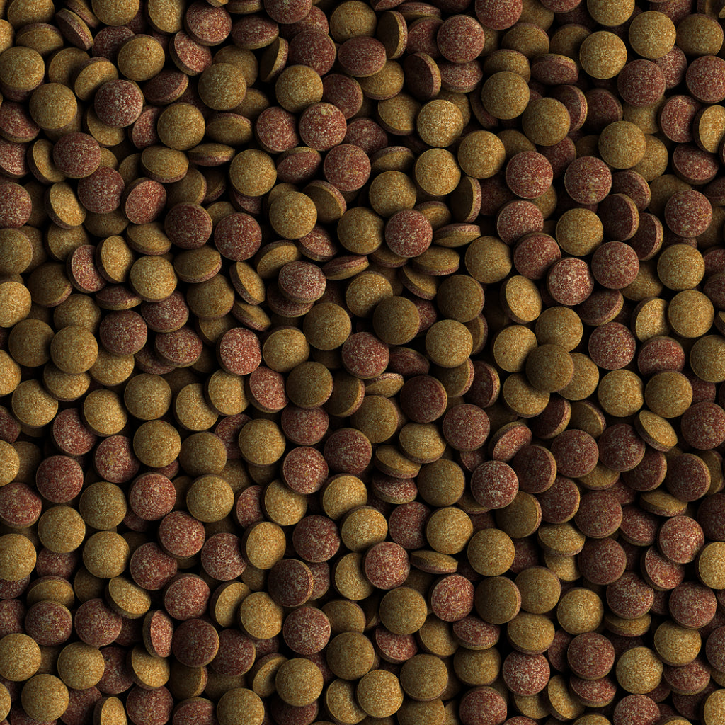 Tetra TabiMin