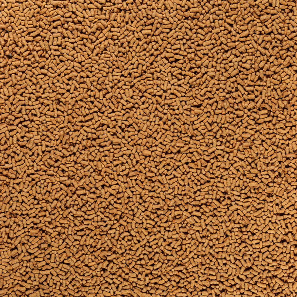 Tetra Pond Sticks
