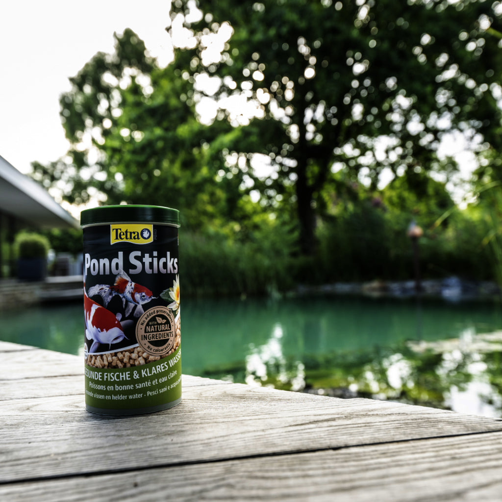 Tetra Pond Sticks