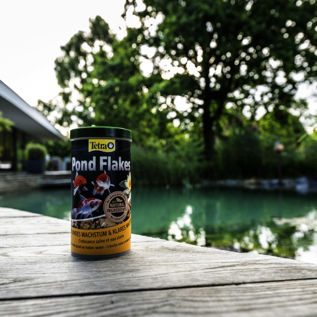 Tetra Pond Flakes