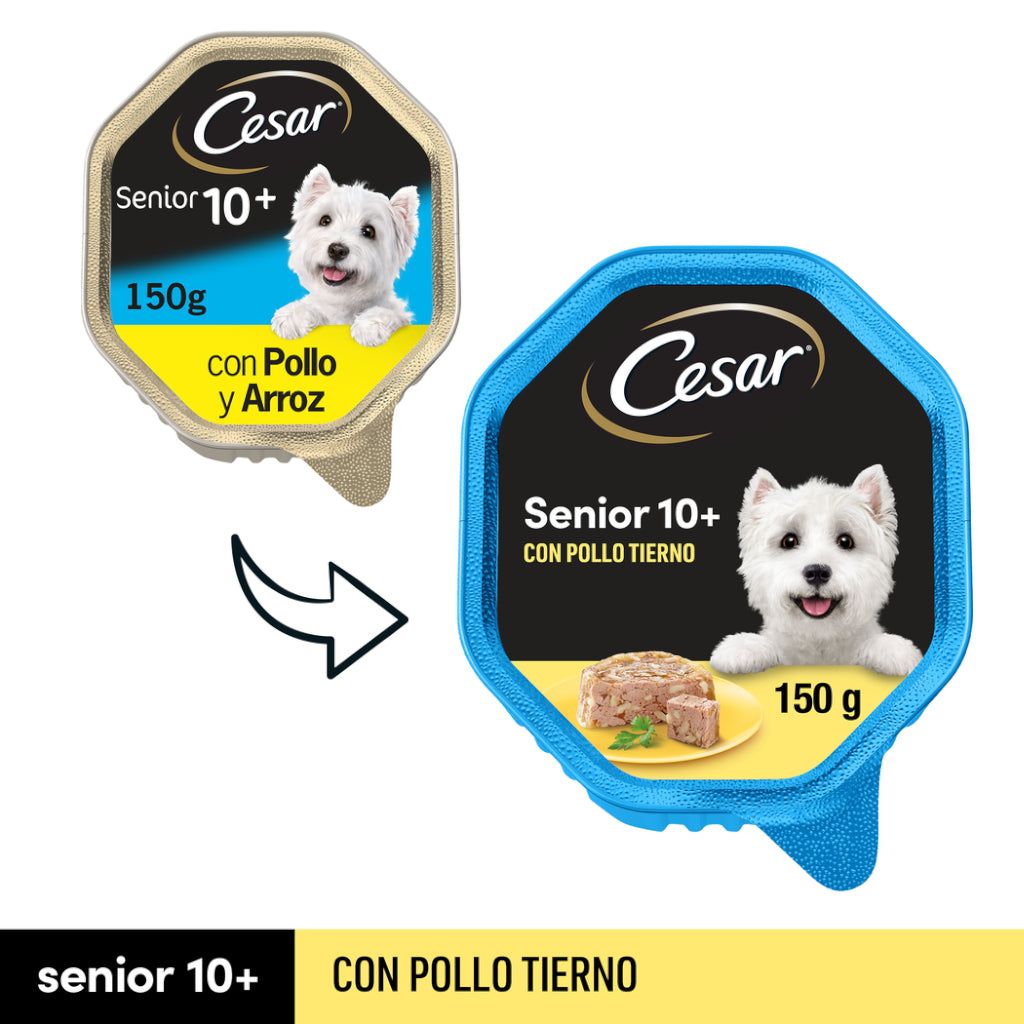 Cesar Recetas Senior Pollo y Arroz en Gelatina