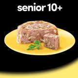 Cesar Recetas Senior Pollo y Arroz en Gelatina