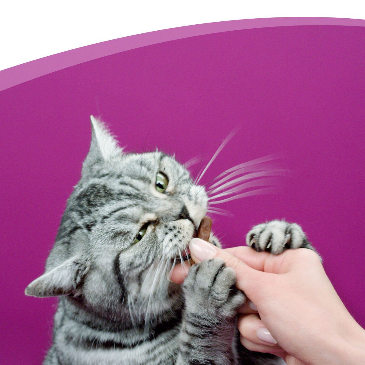 Whiskas Sticks Gatos Sabor Salmón
