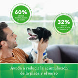 Greenies Medium