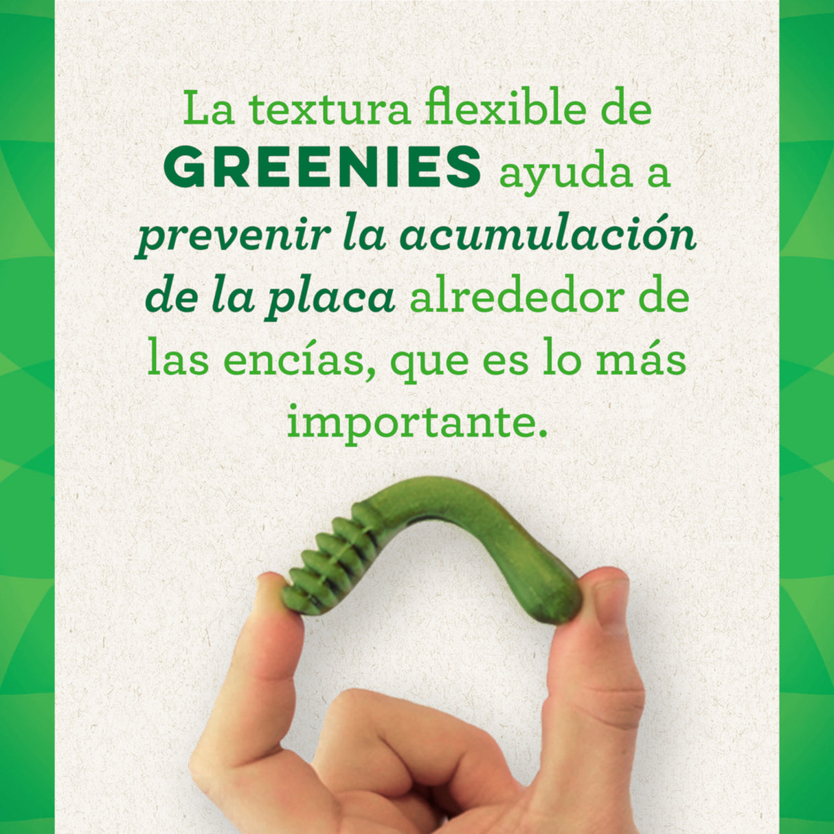 Greenies Medium