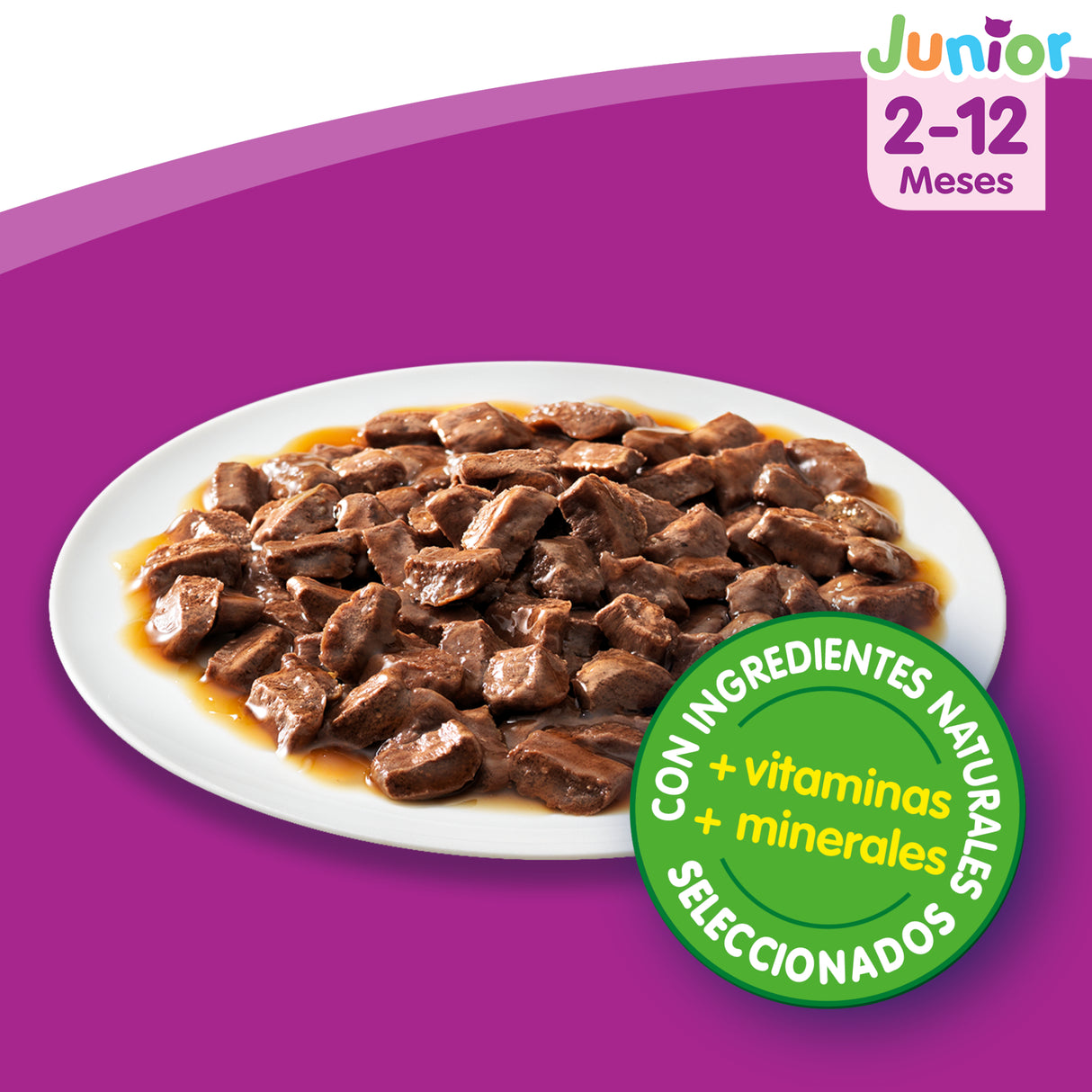Whiskas Junior Selección Cláscios en Salsa