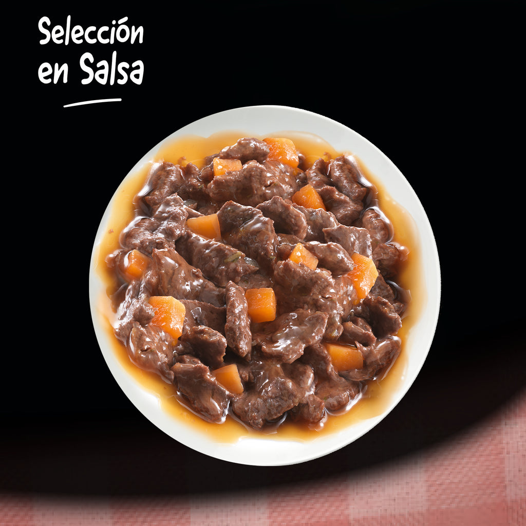 Cesar Bolsitas Selección en Salsa