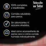 Cesar Bolsitas Selección en Salsa