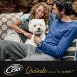 Cesar Bolsitas Selección en Salsa