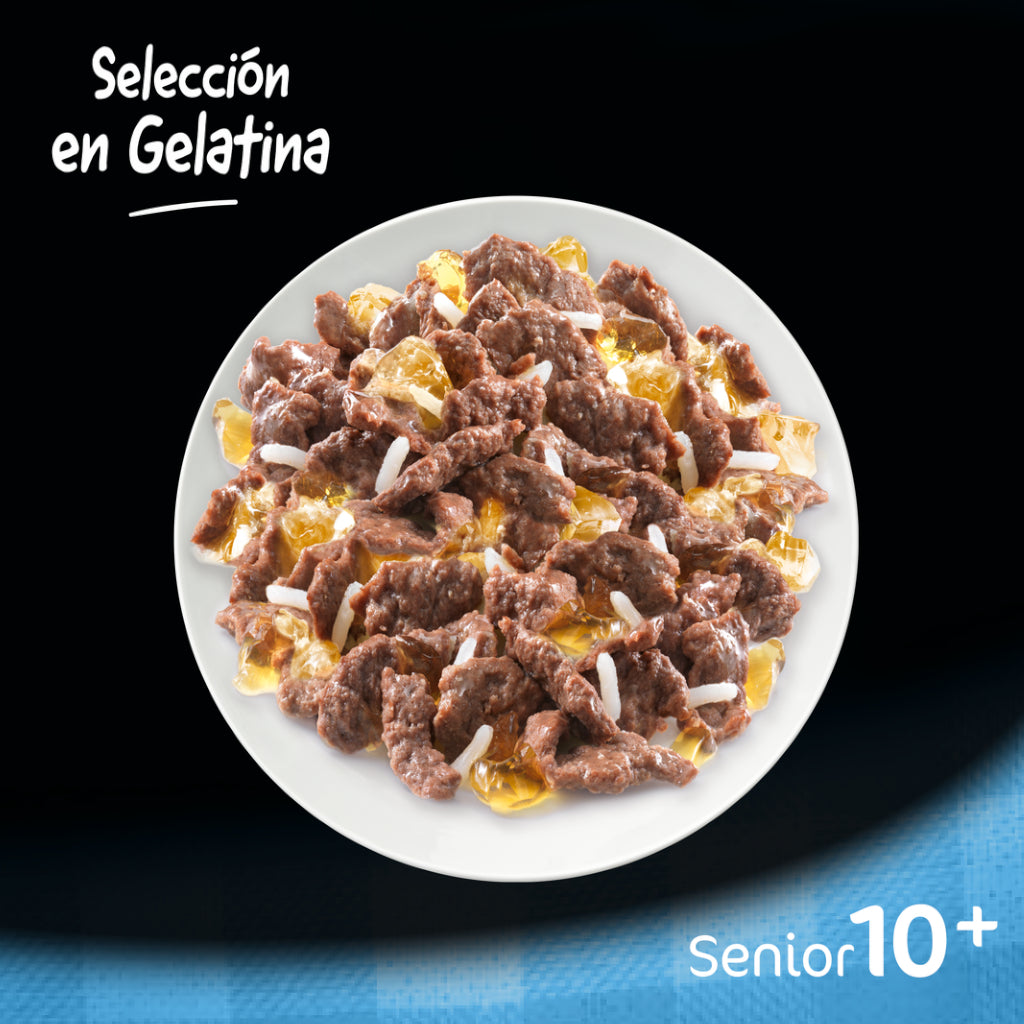 Cesar Multipack Bolsitas Senior Selección Carnes Mixtas