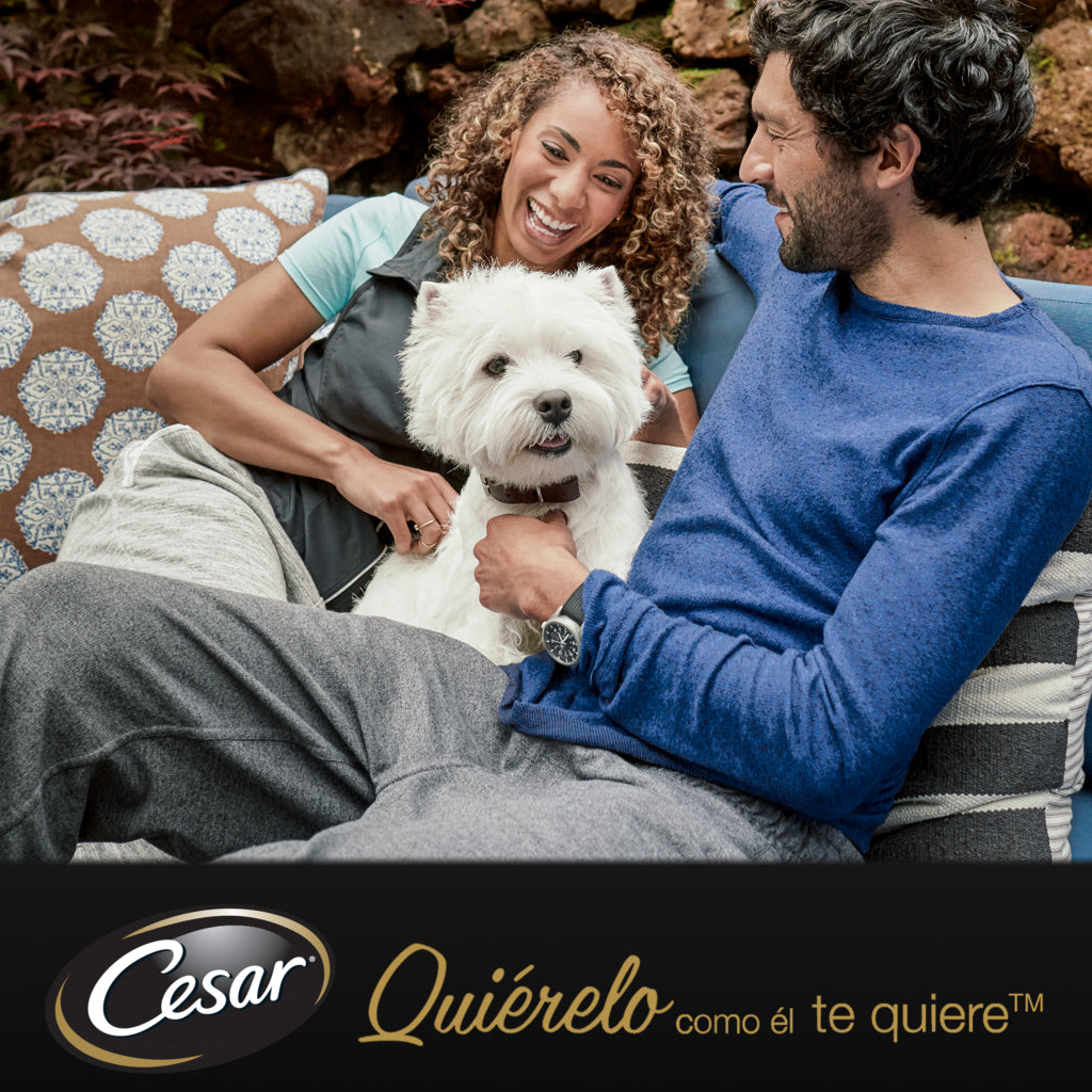 Cesar Multipack Bolsitas Senior Selección Carnes Mixtas