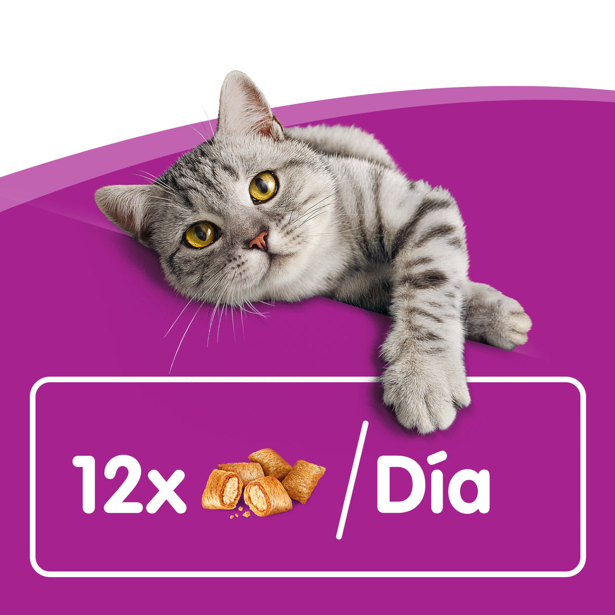Whiskas Temptations con Salmón