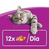 Whiskas Temptations con Salmón