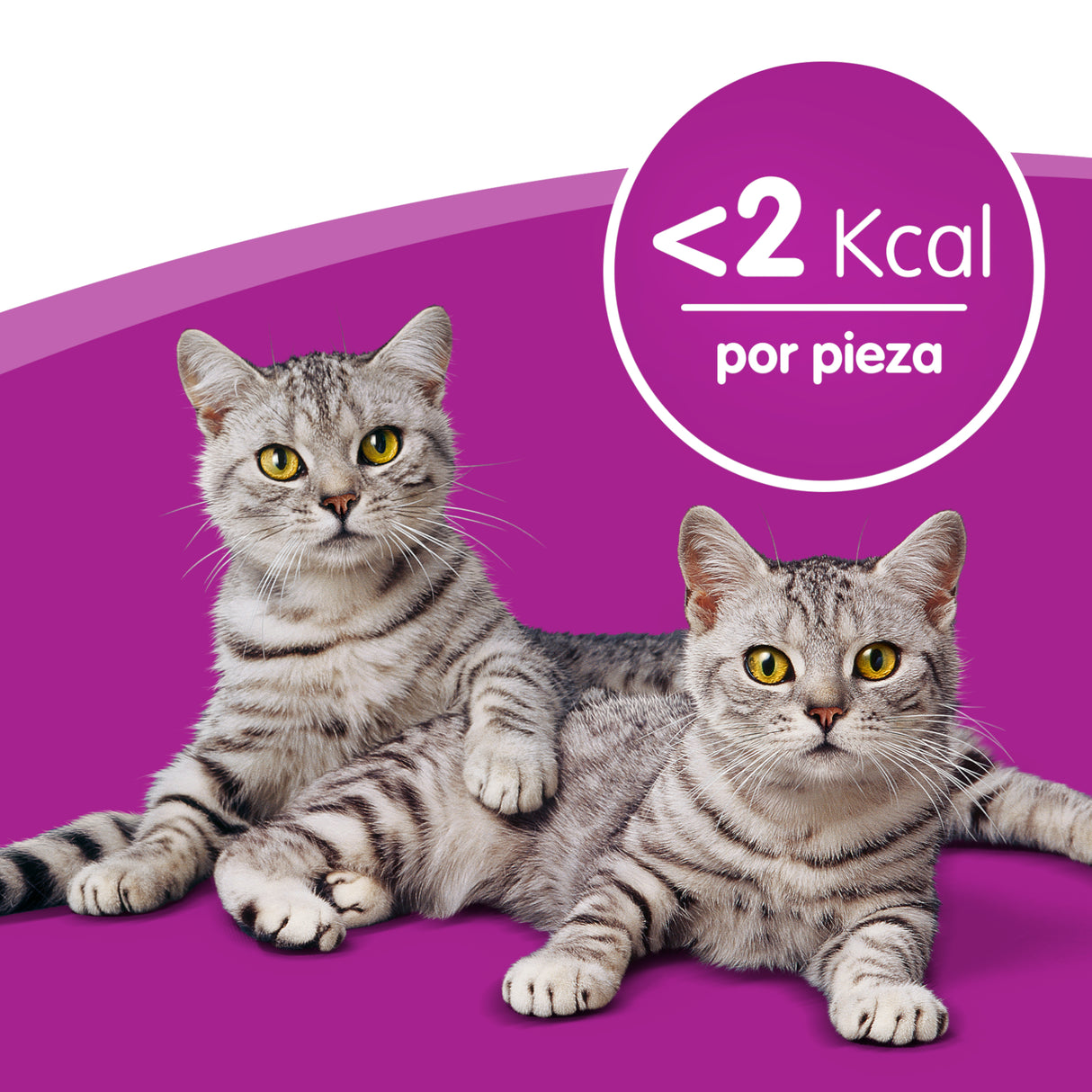 Whiskas Temptations con Salmón