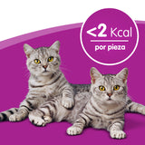 Whiskas Temptations con Salmón