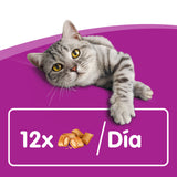 Whiskas Temptations con Pollo y Queso