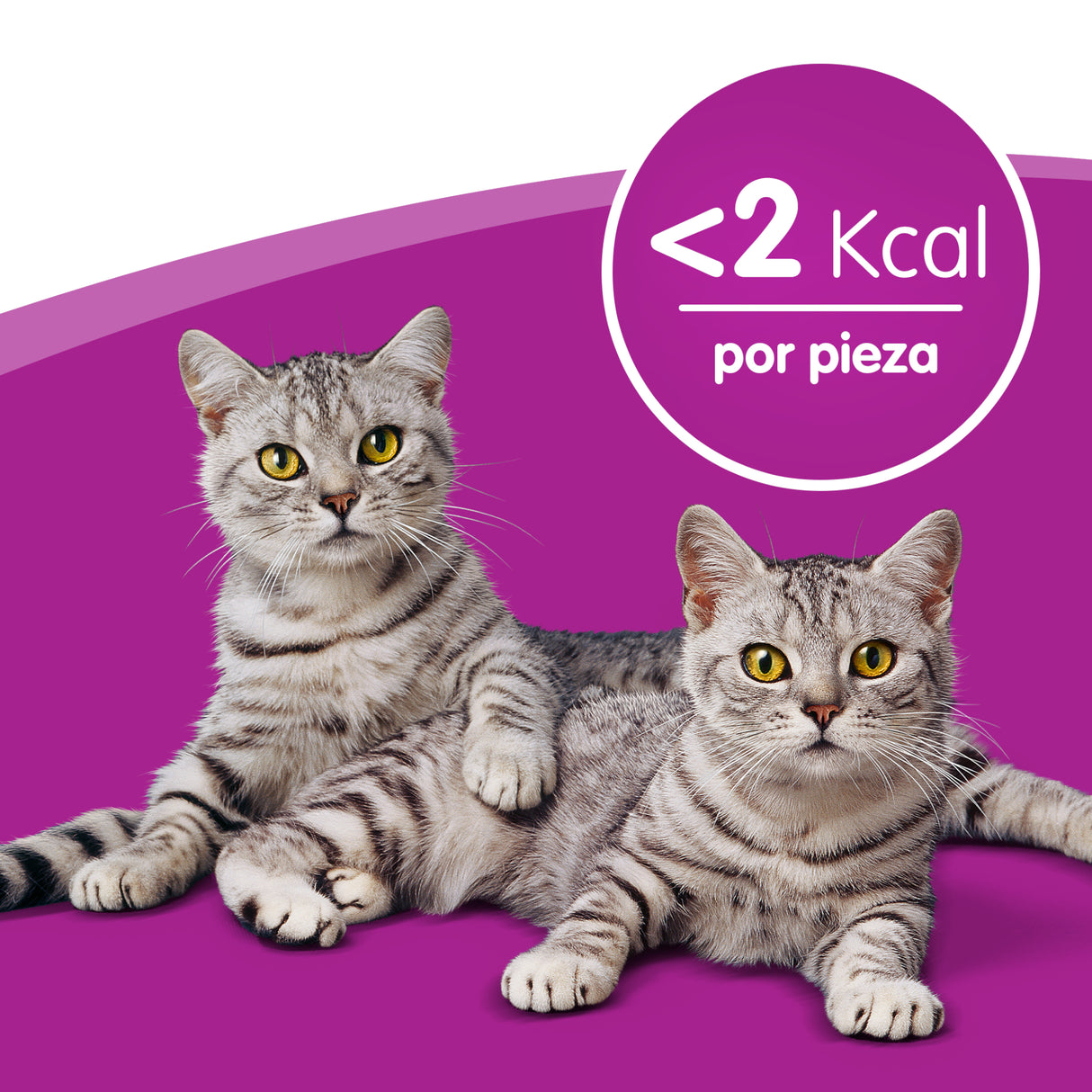 Whiskas Temptations con Pollo y Queso