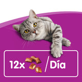 Whiskas Anti-Hairball
