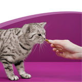 Whiskas Anti-Hairball