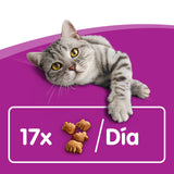 Whiskas Dentabites