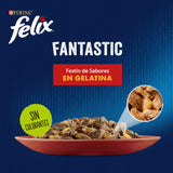 Felix Fantastic Festín de Sabores en Gelatina