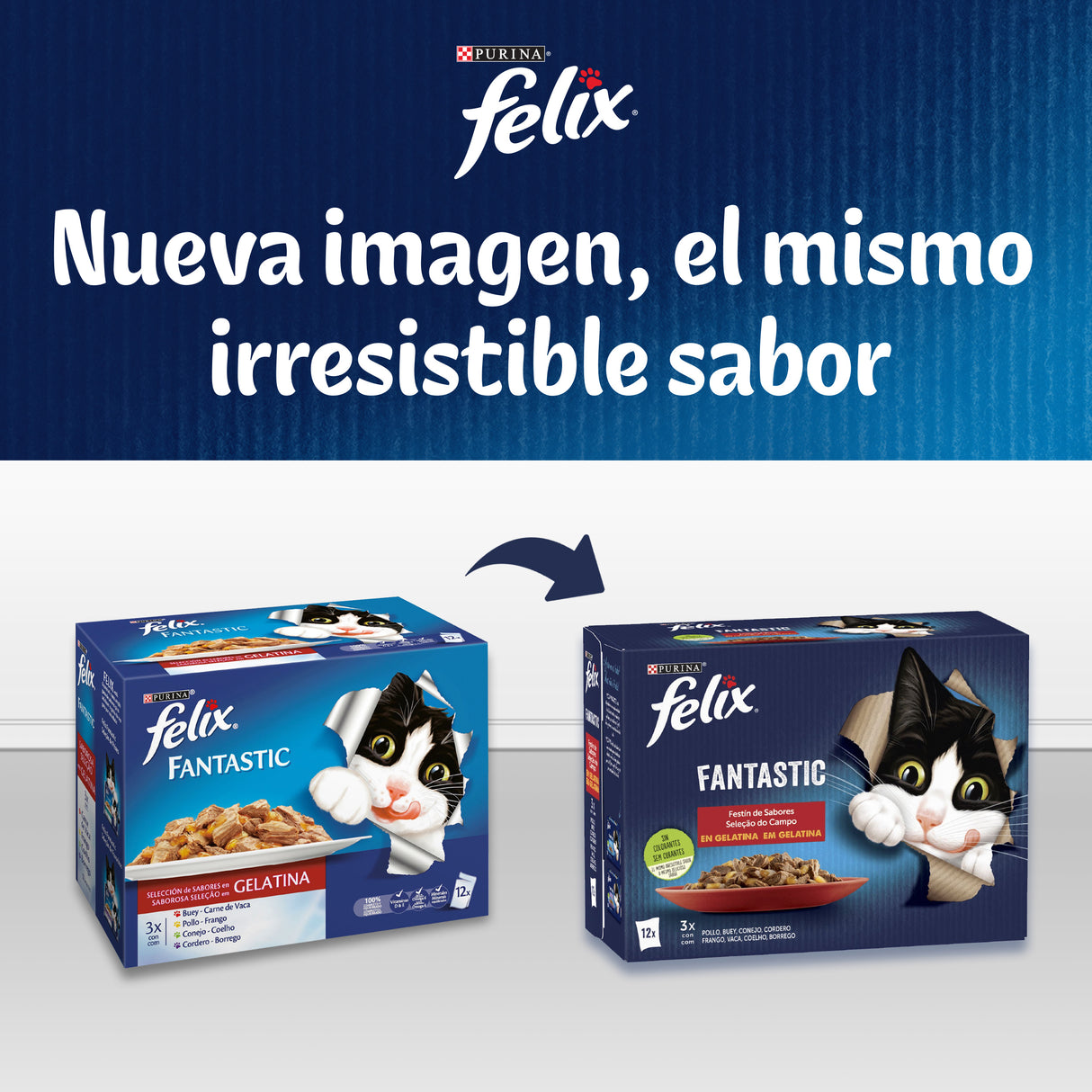 Felix Fantastic Festín de Sabores en Gelatina
