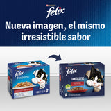 Felix Fantastic Festín de Sabores en Gelatina