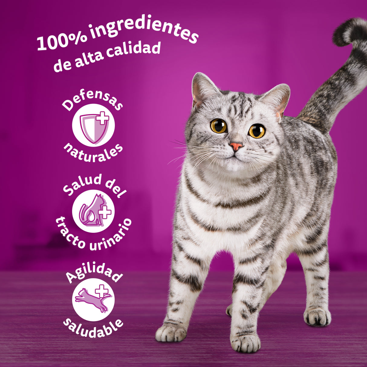 Whiskas Comida Húmeda para Gatos Senior Selección Aves en Gelatina