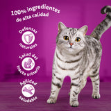 Whiskas Comida Húmeda para Gatos Senior Selección Aves en Gelatina
