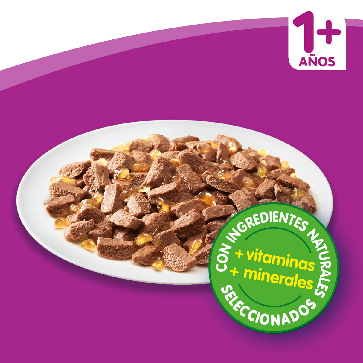 Whiskas Comida Húmeda para Gatos Adultos Selección Aves en Gelatina