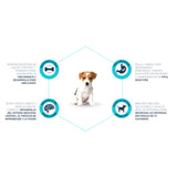 Advance Puppy Mini