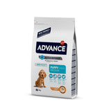 Advance Medium Puppy