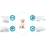 Advance Maxi Puppy
