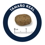 Advance Sensitive Salmón