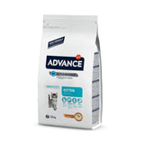 Advance Kitten