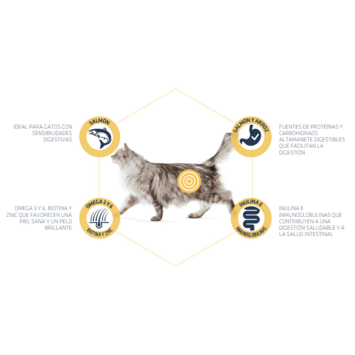 Advance Sensitive Gato